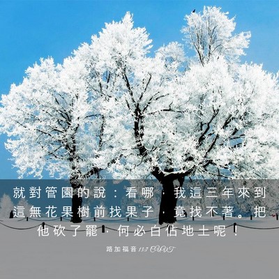 Picture 03 - 路 加 福 音 13:7 CUVT - 就 對 管 園 的 說 ： 看 哪 ， 我 這 - Bible Verse Picture