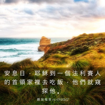 Picture 03 - 路 加 福 音 14:1 CUVT - 安 息 日 ， 耶 穌 到 一 個 法 利 賽 - Bible Verse Picture