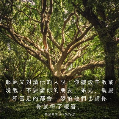 Picture 03 - 路 加 福 音 14:12 CUVT - 耶 穌 又 對 請 他 的 人 說 ： 你 擺 - Bible Verse Picture