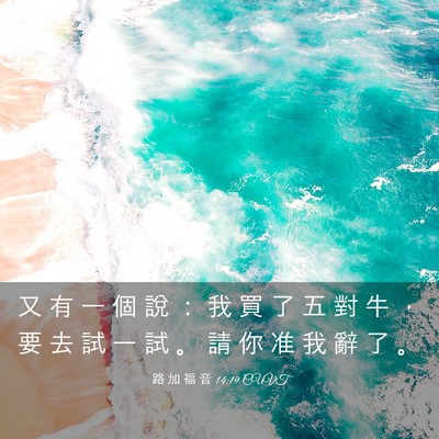 Picture 03 - 路 加 福 音 14:19 CUVT - 又 有 一 個 說 ： 我 買 了 五 對 牛 - Bible Verse Picture