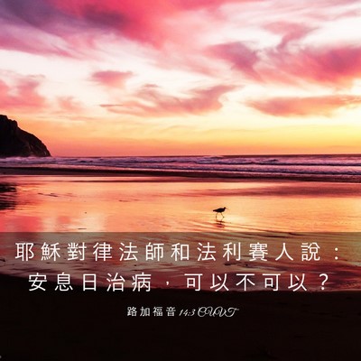 Picture 03 - 路 加 福 音 14:3 CUVT - 耶 穌 對 律 法 師 和 法 利 賽 人 說 - Bible Verse Picture
