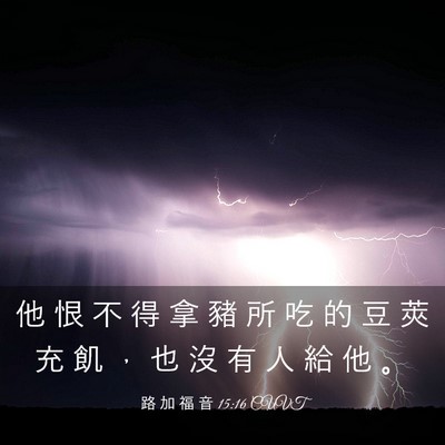 Picture 03 - 路 加 福 音 15:16 CUVT - 他 恨 不 得 拿 豬 所 吃 的 豆 莢 充 - Bible Verse Picture