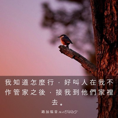 Picture 03 - 路 加 福 音 16:4 CUVT - 我 知 道 怎 麼 行 ， 好 叫 人 在 我 - Bible Verse Picture