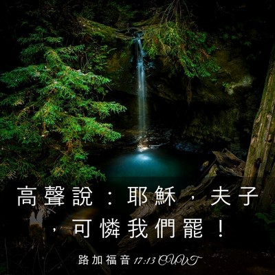 Picture 03 - 路 加 福 音 17:13 CUVT - 高 聲 說 ： 耶 穌 ， 夫 子 ， 可 憐 - Bible Verse Picture
