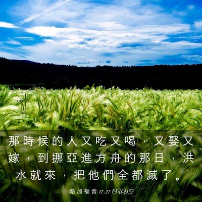 Picture 03 - 路 加 福 音 17:27 CUVT - 那 時 候 的 人 又 吃 又 喝 ， 又 娶 - Bible Verse Picture