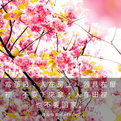 Picture 03 - 路 加 福 音 17:31 CUVT - 當 那 日 ， 人 在 房 上 ， 器 具 在 - Bible Verse Picture