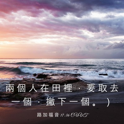 Picture 03 - 路 加 福 音 17:36 CUVT - 兩 個 人 在 田 裡 ， 要 取 去 一 個 - Bible Verse Picture