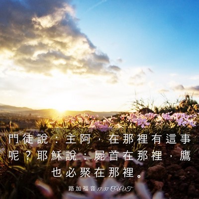 Picture 03 - 路 加 福 音 17:37 CUVT - 門 徒 說 ： 主 阿 ， 在 那 裡 有 這 - Bible Verse Picture