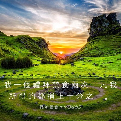 Picture 03 - 路 加 福 音 18:12 CUVT - 我 一 個 禮 拜 禁 食 兩 次 ， 凡 我 - Bible Verse Picture