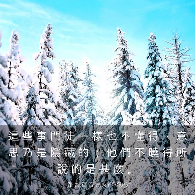Picture 03 - 路 加 福 音 18:34 CUVT - 這 些 事 門 徒 一 樣 也 不 懂 得 ， - Bible Verse Picture