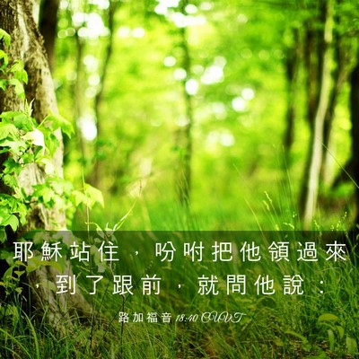 Picture 03 - 路 加 福 音 18:40 CUVT - 耶 穌 站 住 ， 吩 咐 把 他 領 過 來 - Bible Verse Picture
