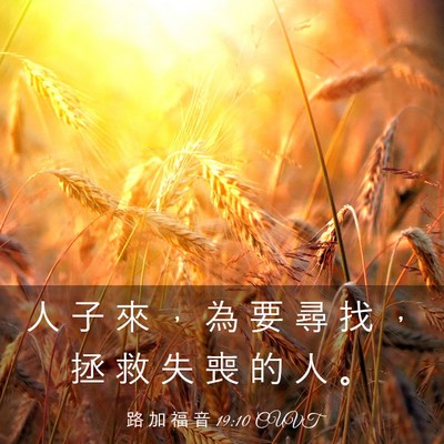 Picture 03 - 路 加 福 音 19:10 CUVT - 人 子 來 ， 為 要 尋 找 ， 拯 救 失 - Bible Verse Picture