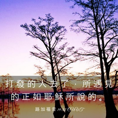 Picture 03 - 路 加 福 音 19:32 CUVT - 打 發 的 人 去 了 ， 所 遇 見 的 正 - Bible Verse Picture