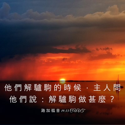 Picture 03 - 路 加 福 音 19:33 CUVT - 他 們 解 驢 駒 的 時 候 ， 主 人 問 - Bible Verse Picture