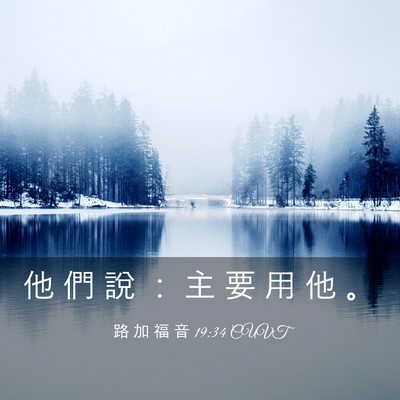 Picture 03 - 路 加 福 音 19:34 CUVT - 他 們 說 ： 主 要 用 他 - Bible Verse Picture