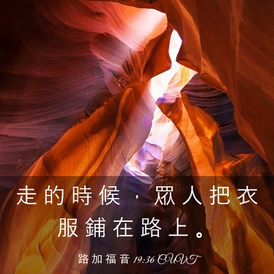 Picture 03 - 路 加 福 音 19:36 CUVT - 走 的 時 候 ， 眾 人 把 衣 服 鋪 在 - Bible Verse Picture