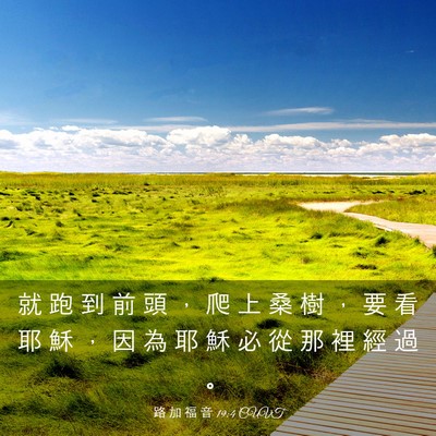 Picture 03 - 路 加 福 音 19:4 CUVT - 就 跑 到 前 頭 ， 爬 上 桑 樹 ， 要 - Bible Verse Picture