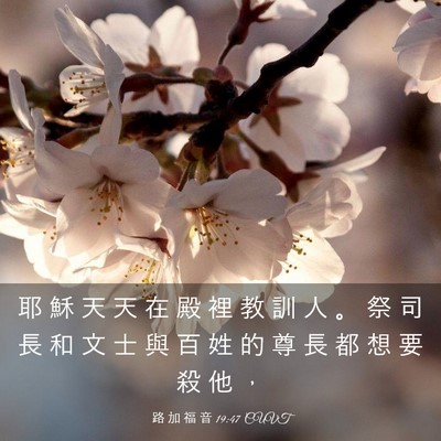 Picture 03 - 路 加 福 音 19:47 CUVT - 耶 穌 天 天 在 殿 裡 教 訓 人 。 祭 - Bible Verse Picture
