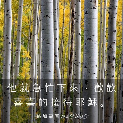 Picture 03 - 路 加 福 音 19:6 CUVT - 他 就 急 忙 下 來 ， 歡 歡 喜 喜 的 - Bible Verse Picture