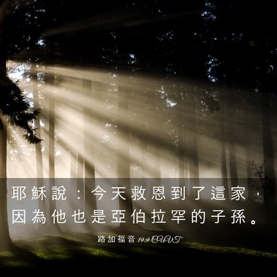 Picture 03 - 路 加 福 音 19:9 CUVT - 耶 穌 說 ： 今 天 救 恩 到 了 這 家 - Bible Verse Picture