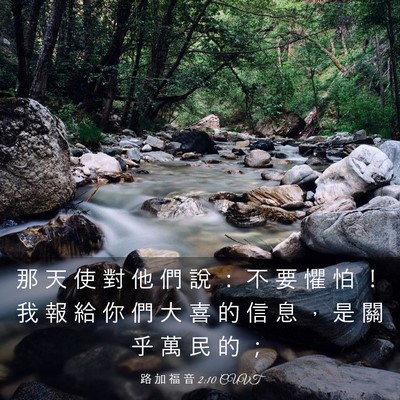 Picture 03 - 路 加 福 音 2:10 CUVT - 那 天 使 對 他 們 說 ： 不 要 懼 怕 - Bible Verse Picture