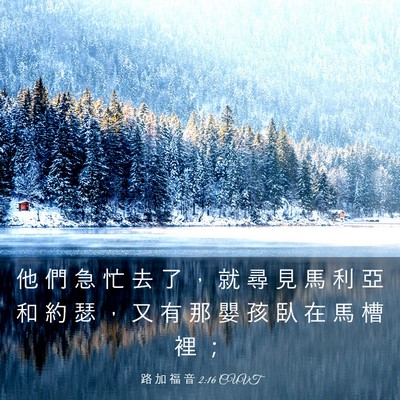Picture 03 - 路 加 福 音 2:16 CUVT - 他 們 急 忙 去 了 ， 就 尋 見 馬 利 - Bible Verse Picture