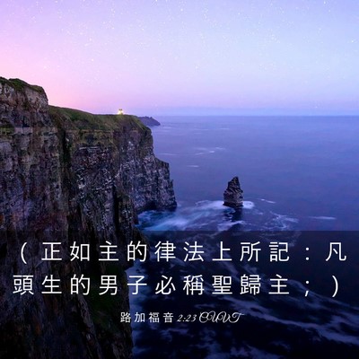 Picture 03 - 路 加 福 音 2:23 CUVT - （ 正 如 主 的 律 法 上 所 記 ： 凡 - Bible Verse Picture