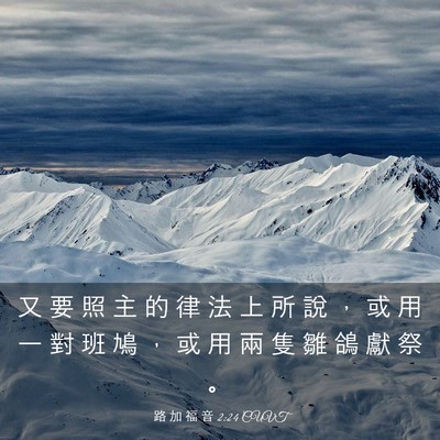 Picture 03 - 路 加 福 音 2:24 CUVT - 又 要 照 主 的 律 法 上 所 說 ， 或 - Bible Verse Picture