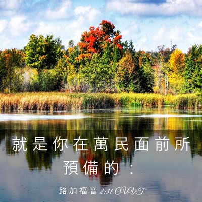 Picture 03 - 路 加 福 音 2:31 CUVT - 就 是 你 在 萬 民 面 前 所 預 備 的 - Bible Verse Picture