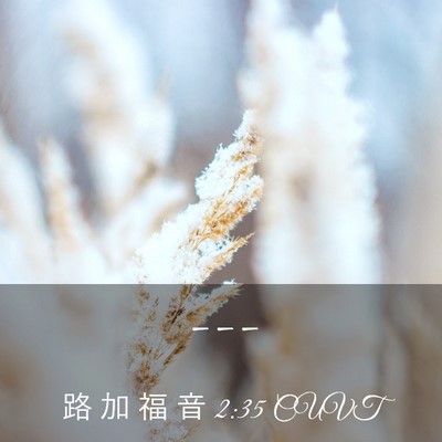 Picture 03 - 路 加 福 音 2:35 CUVT -  - Bible Verse Picture