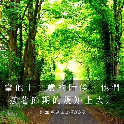 Picture 03 - 路 加 福 音 2:42 CUVT - 當 他 十 二 歲 的 時 候 ， 他 們 按 - Bible Verse Picture
