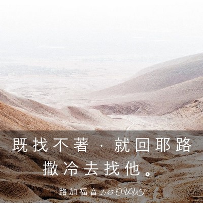 Picture 03 - 路 加 福 音 2:45 CUVT - 既 找 不 著 ， 就 回 耶 路 撒 冷 去 - Bible Verse Picture