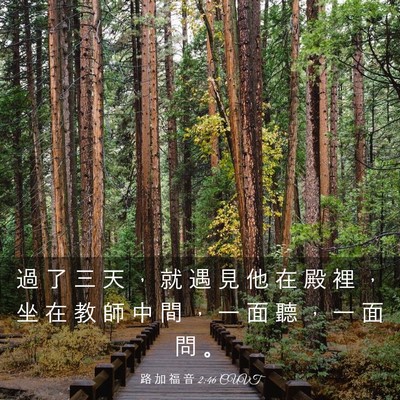 Picture 03 - 路 加 福 音 2:46 CUVT - 過 了 三 天 ， 就 遇 見 他 在 殿 裡 - Bible Verse Picture
