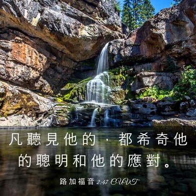 Picture 03 - 路 加 福 音 2:47 CUVT - 凡 聽 見 他 的 ， 都 希 奇 他 的 聰 - Bible Verse Picture