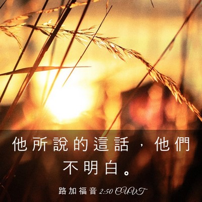 Picture 03 - 路 加 福 音 2:50 CUVT - 他 所 說 的 這 話 ， 他 們 不 明 白 - Bible Verse Picture