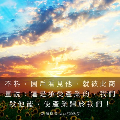 Picture 03 - 路 加 福 音 20:14 CUVT - 不 料 ， 園 戶 看 見 他 ， 就 彼 此 - Bible Verse Picture