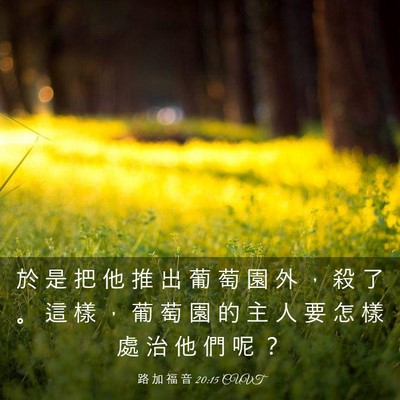 Picture 03 - 路 加 福 音 20:15 CUVT - 於 是 把 他 推 出 葡 萄 園 外 ， 殺 - Bible Verse Picture