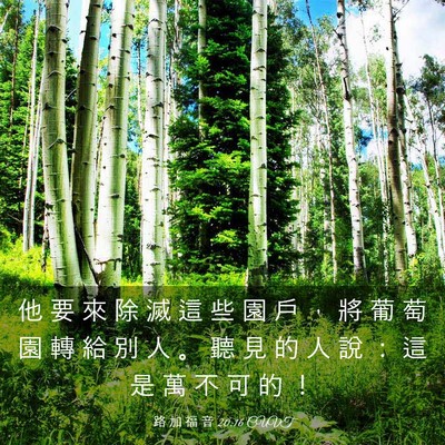 Picture 03 - 路 加 福 音 20:16 CUVT - 他 要 來 除 滅 這 些 園 戶 ， 將 葡 - Bible Verse Picture