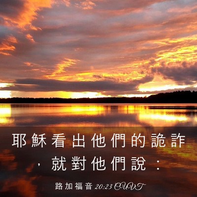 Picture 03 - 路 加 福 音 20:23 CUVT - 耶 穌 看 出 他 們 的 詭 詐 ， 就 對 - Bible Verse Picture