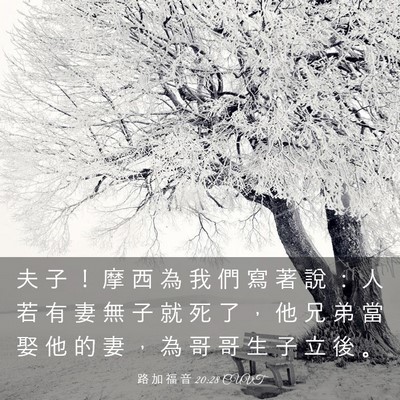 Picture 03 - 路 加 福 音 20:28 CUVT - 夫 子 ！ 摩 西 為 我 們 寫 著 說 ： - Bible Verse Picture