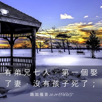 Picture 03 - 路 加 福 音 20:29 CUVT - 有 弟 兄 七 人 ， 第 一 個 娶 了 妻 - Bible Verse Picture