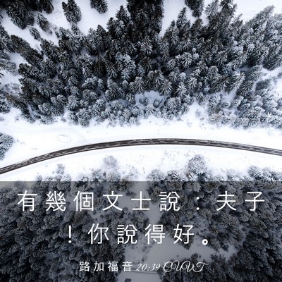 Picture 03 - 路 加 福 音 20:39 CUVT - 有 幾 個 文 士 說 ： 夫 子 ！ 你 說 - Bible Verse Picture