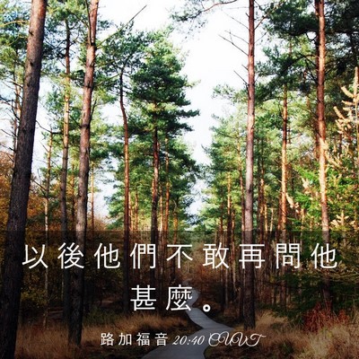 Picture 03 - 路 加 福 音 20:40 CUVT - 以 後 他 們 不 敢 再 問 他 甚 麼 - Bible Verse Picture