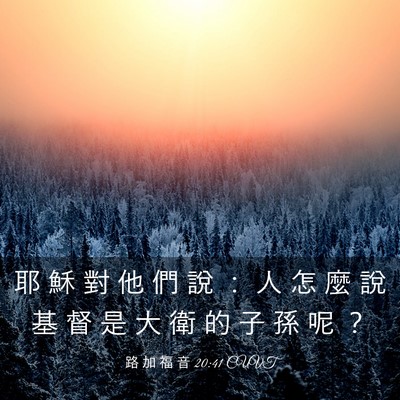 Picture 03 - 路 加 福 音 20:41 CUVT - 耶 穌 對 他 們 說 ： 人 怎 麼 說 基 - Bible Verse Picture