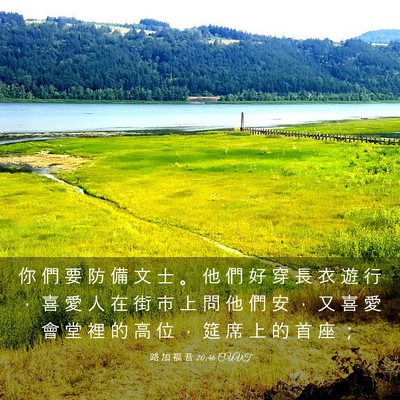 Picture 03 - 路 加 福 音 20:46 CUVT - 你 們 要 防 備 文 士 。 他 們 好 穿 - Bible Verse Picture