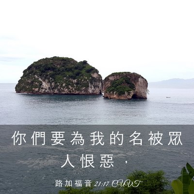 Picture 03 - 路 加 福 音 21:17 CUVT - 你 們 要 為 我 的 名 被 眾 人 恨 惡 - Bible Verse Picture