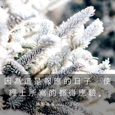 Picture 03 - 路 加 福 音 21:22 CUVT - 因 為 這 是 報 應 的 日 子 ， 使 經 - Bible Verse Picture