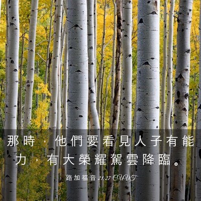 Picture 03 - 路 加 福 音 21:27 CUVT - 那 時 ， 他 們 要 看 見 人 子 有 能 - Bible Verse Picture