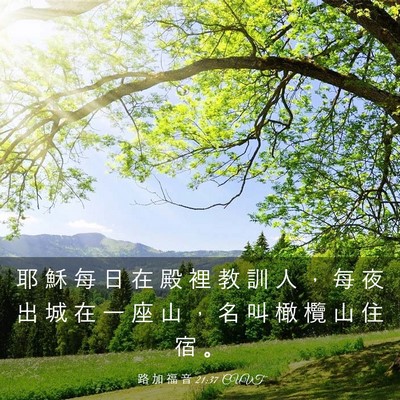 Picture 03 - 路 加 福 音 21:37 CUVT - 耶 穌 每 日 在 殿 裡 教 訓 人 ， 每 - Bible Verse Picture