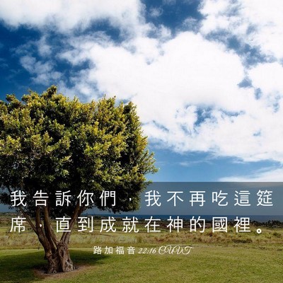 Picture 03 - 路 加 福 音 22:16 CUVT - 我 告 訴 你 們 ， 我 不 再 吃 這 筵 - Bible Verse Picture